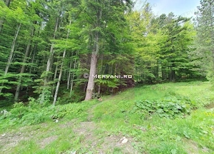 Teren intravilan de vanzare in Sinaia - Zona Furnica - imagine 3