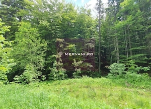 Teren intravilan de vanzare in Sinaia - Zona Furnica - imagine 4