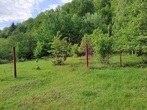 BEREVOIESTI (AG) SE VINDE TEREN 834 MP IN zona Pastravaria Rausor - imagine 4