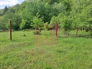 BEREVOIESTI (AG) SE VINDE TEREN 834 MP IN zona Pastravaria Rausor - imagine 7