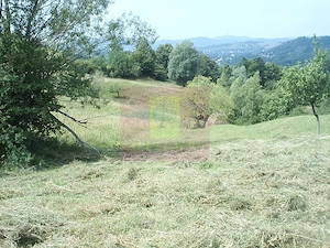 Teren extravilan de vanzare in Telega