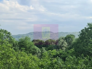Vila de vanzare cu 6 camere in Cornu (teren 6.600 mp) - imagine 3