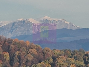 Teren intravilan de vanzare in Telega - imagine 2