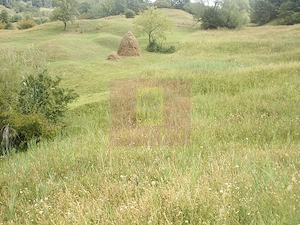 Teren extravilan de vanzare in Telega - imagine 2