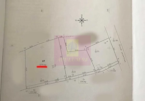 Teren intravilan de vanzare in Lunca Mare (la 10 km de Valea Doftanei) - imagine 2