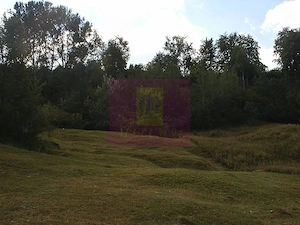 Teren intravilan de vanzare in Telega - imagine 9