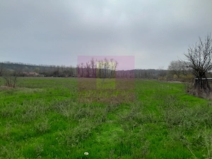 BARCANESTI (IL) - SE VINDE CASA + TEREN 16K MP - imagine 14