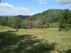 Teren intravilan de vanzare in Telega - imagine 6