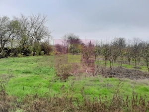 BARCANESTI (IL) - SE VINDE CASA + TEREN 16K MP - imagine 13