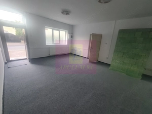 Casa de vanzare in Campina (spatiu comercial) - Zona Lidl - imagine 10