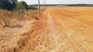 Teren pentru casă/case în Brănești pe strada Toporași - imagine 2