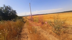 Teren pentru casă/case în Brănești pe strada Toporași - imagine 20