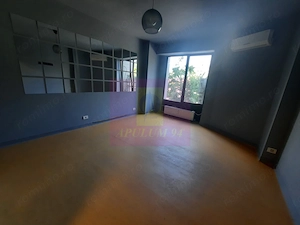 Inchiriere spatiu comercial inzona Decebal - imagine 4