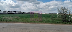 Săbăreni, teren intravilan 1000 mp, cu utilitati în apropiere