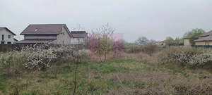 Săbăreni, teren intravilan 3767 mp, cu utilităti - imagine 3