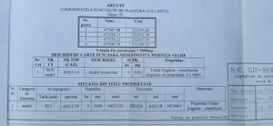 1 ha agricol Mosnita Veche langa Drumul boilor, ideal pentru PUZ - imagine 5