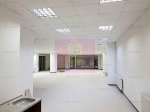 Locul Potrivit pentru afacerea ta - Otopeni- Calea București - imagine 8