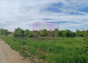 Teren 1400 mp, intravilan construibil, în Joița - imagine 4