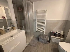 Apartament 1 cameră, 29 mp, zona Ultracentral - Anastasie Panu - imagine 6