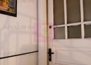 Apartament Elegant in Vilă zona Gradina Botanica-Splaiul Independenței - imagine 11