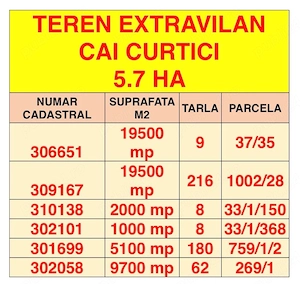 Vand 5,6 Ha teren extravilant CAI CURTICI