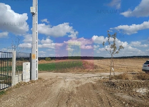 Gulia, teren intravilan curti-constructii, 516 mp, utilități aproape - imagine 4