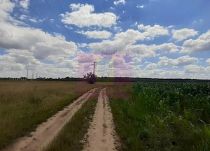 Teren 715mp în Snagov lângă Equestria - imagine 3
