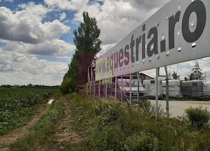 Teren 715mp în Snagov lângă Equestria - imagine 16