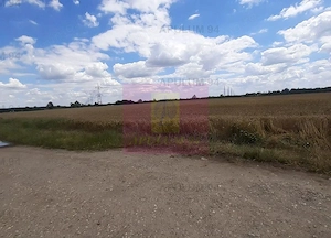 Teren 715mp în Snagov lângă Equestria - imagine 7