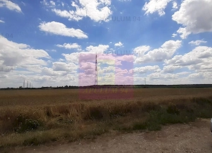 Teren 715mp în Snagov lângă Equestria - imagine 10