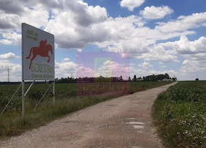 Teren 715mp în Snagov lângă Equestria - imagine 15