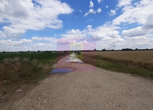 Teren 715mp în Snagov lângă Equestria - imagine 6