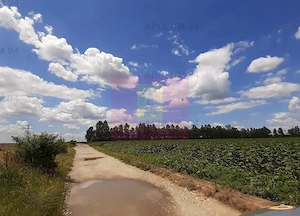 Teren 715mp în Snagov lângă Equestria - imagine 20