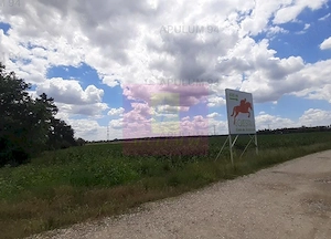 Teren 715mp în Snagov lângă Equestria - imagine 14