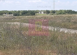 Teren 715mp în Snagov lângă Equestria - imagine 13