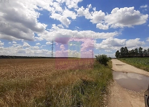 Teren 715mp în Snagov lângă Equestria - imagine 19