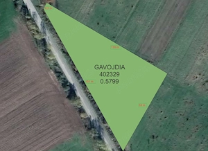 Teren Extravilan 5.799 mp   Vizibilitate Excelentă & Deschidere 151m la Drumul Județean DJ584 Olosa