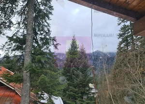 Vilă de vânzare in Sinaia - Zona Cumpătu - imagine 16