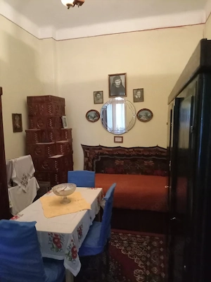Casă de vânzare–3 dormitoare, 2 livinguri,ideală și pentru spațiu comercial Bals - imagine 9