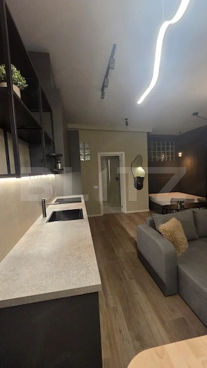 Studio de închiriat, 40 mp, etaj 1, zona Europa - imagine 4