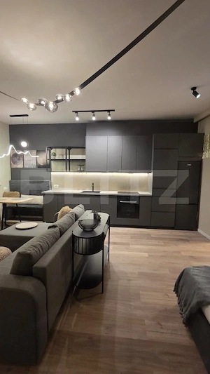 Studio de închiriat, 40 mp, etaj 1, zona Europa - imagine 3