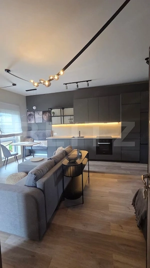 Studio de închiriat, 40 mp, etaj 1, zona Europa - imagine 13