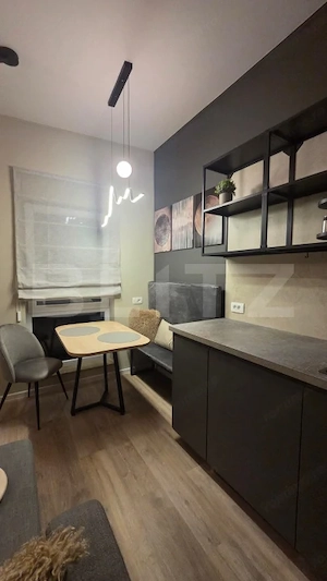 Studio de închiriat, 40 mp, etaj 1, zona Europa - imagine 11