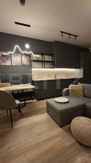 Studio de închiriat, 40 mp, etaj 1, zona Europa - imagine 10
