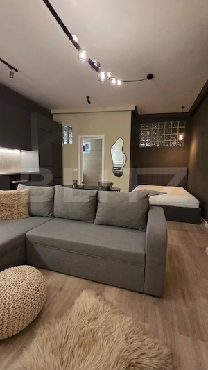 Studio de închiriat, 40 mp, etaj 1, zona Europa - imagine 8
