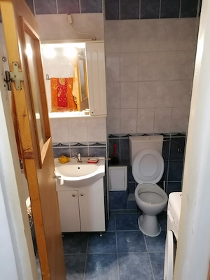 Inchiriez apartament cu o camera in zona str. Campului - imagine 4