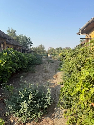 Teren intravilan 2.400 mp în Băilești 24 m deschidere la strada - imagine 2