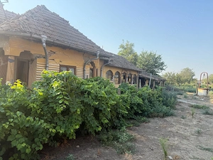 Teren intravilan 2.400 mp în Băilești   24 m deschidere la strada - imagine 6