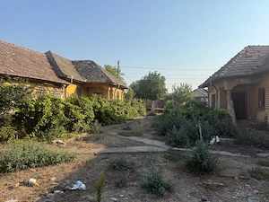 Teren intravilan 2.400 mp în Băilești   24 m deschidere la strada - imagine 7