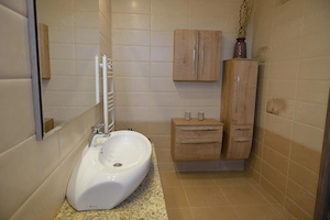 Vila 240 mp Cartier Padurea Baneasa - imagine 6